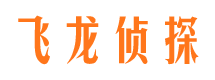 蜀山市侦探调查公司